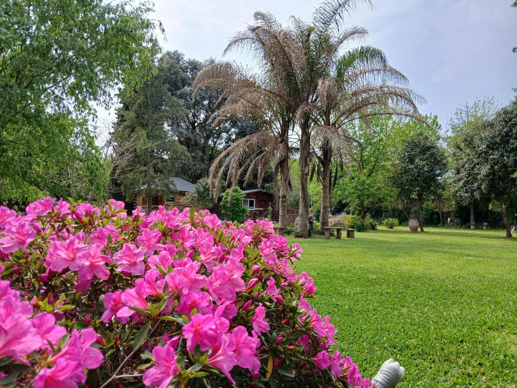 Pualy Resort & Spa Belén de Escobar Exteriör bild